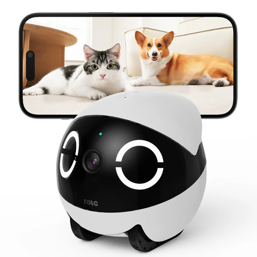 Robot de Compañía Mini para Ma - Home Security Robots reseña y precio